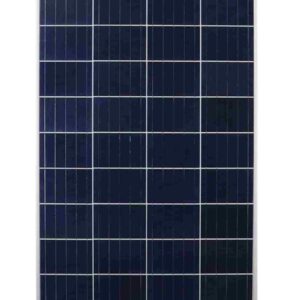 Enjoy solar Poly 100W 12V Placa solar